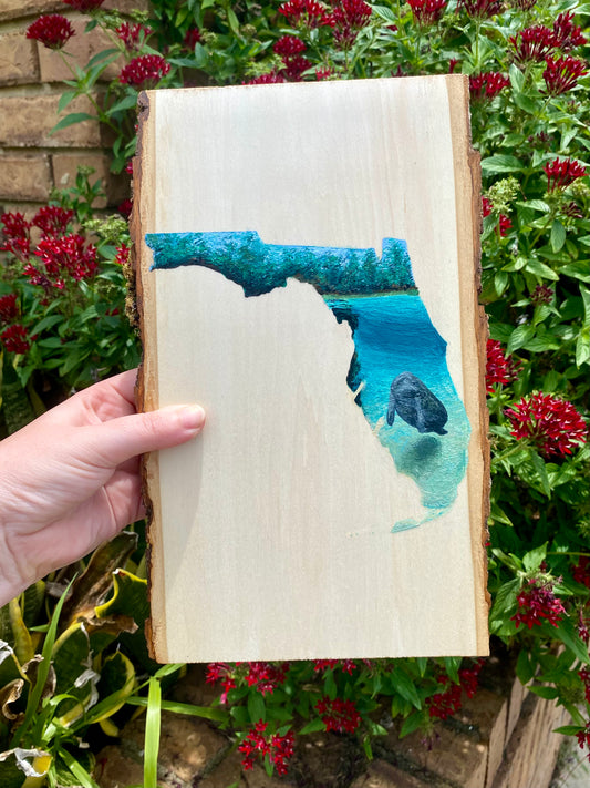 Florida Spring on Wood Flat