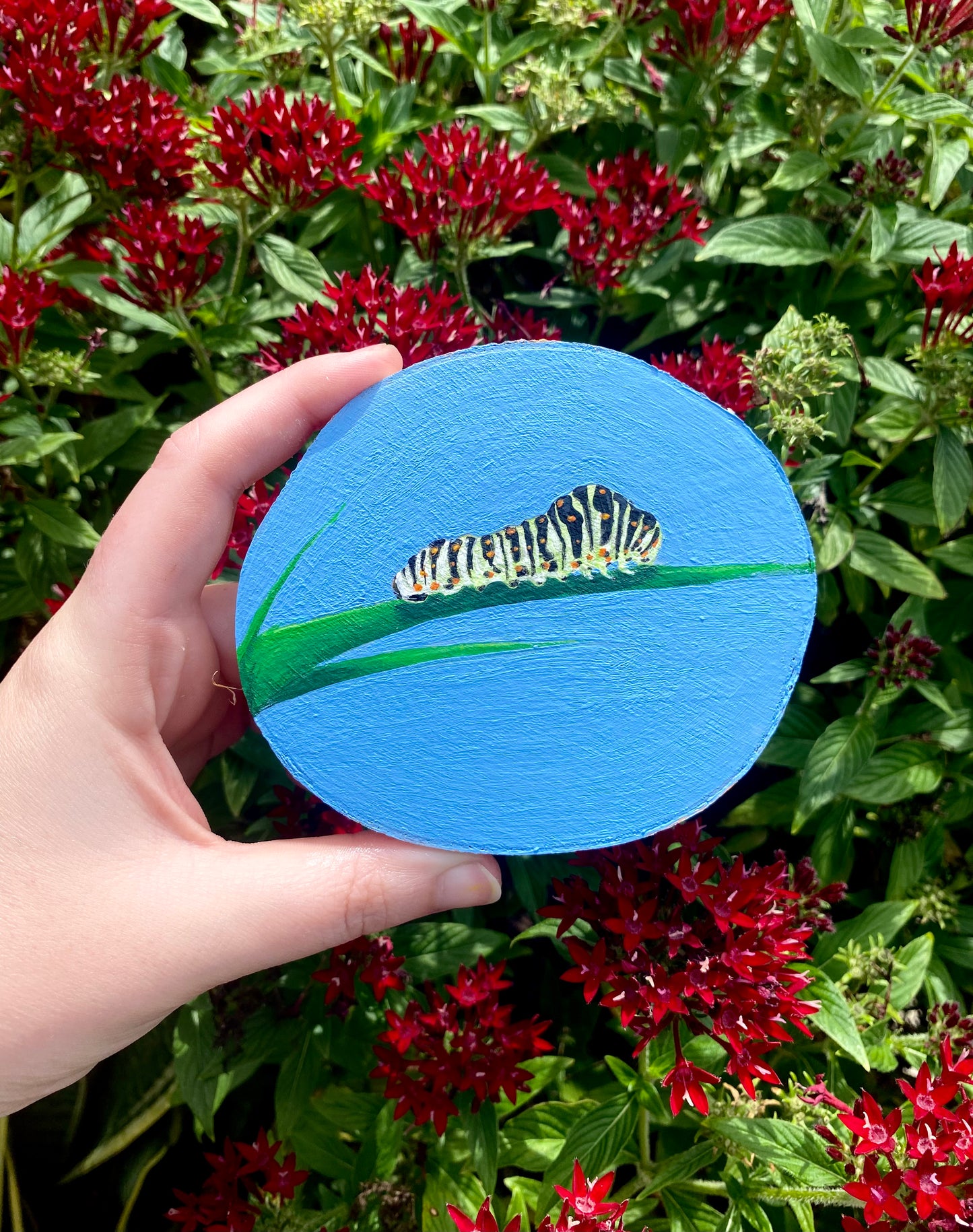 Catepillar on Wood Round