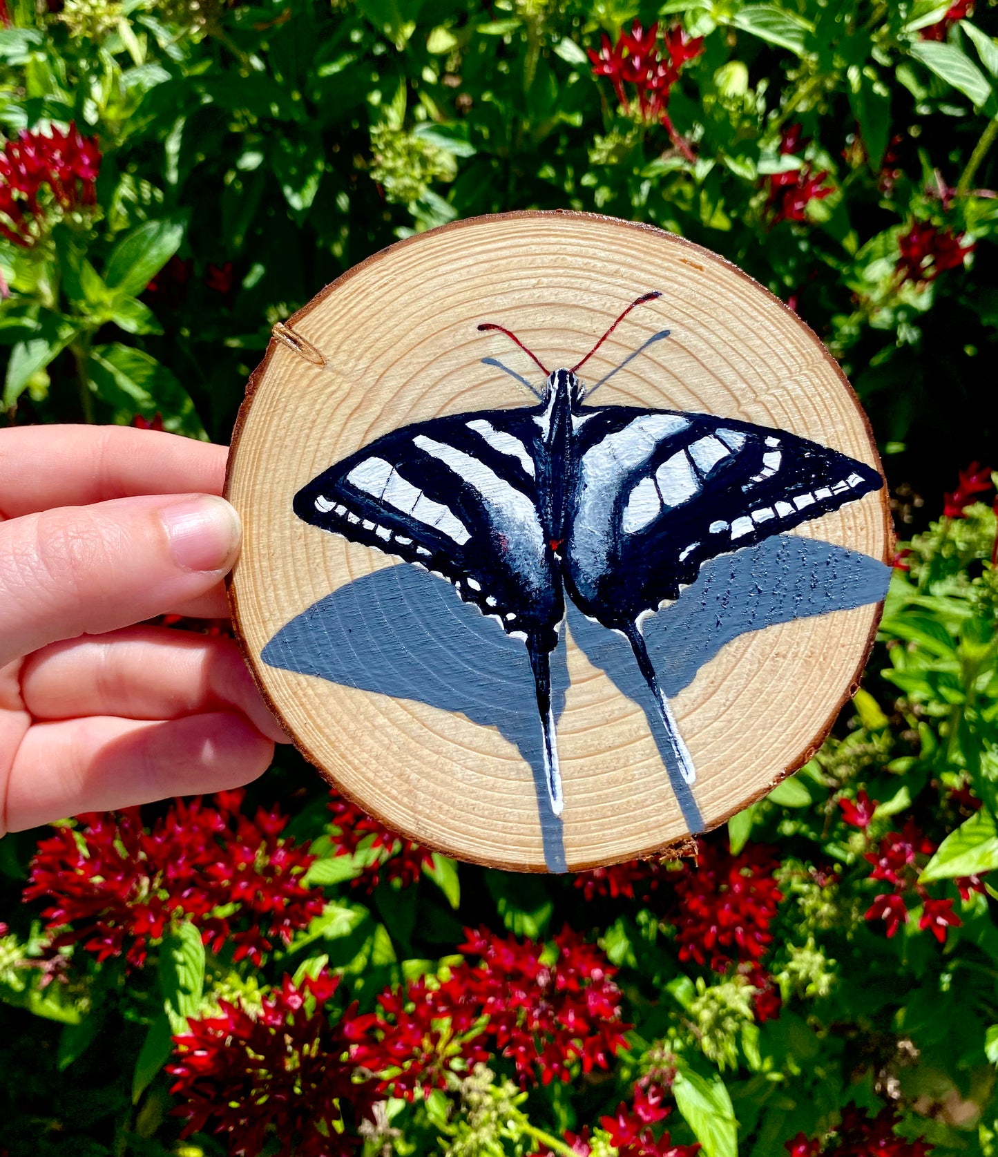 Zebra Swallowtail on Wood Round