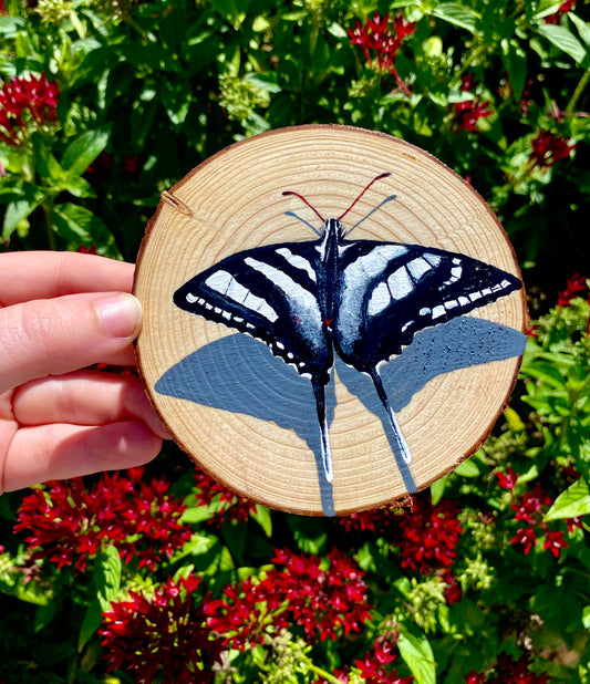 Zebra Swallowtail on Wood Round