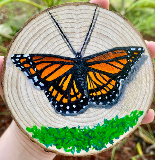 Viceroy on Wood Round