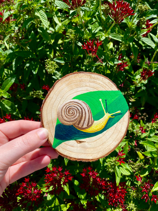 Snail on Wood Round
