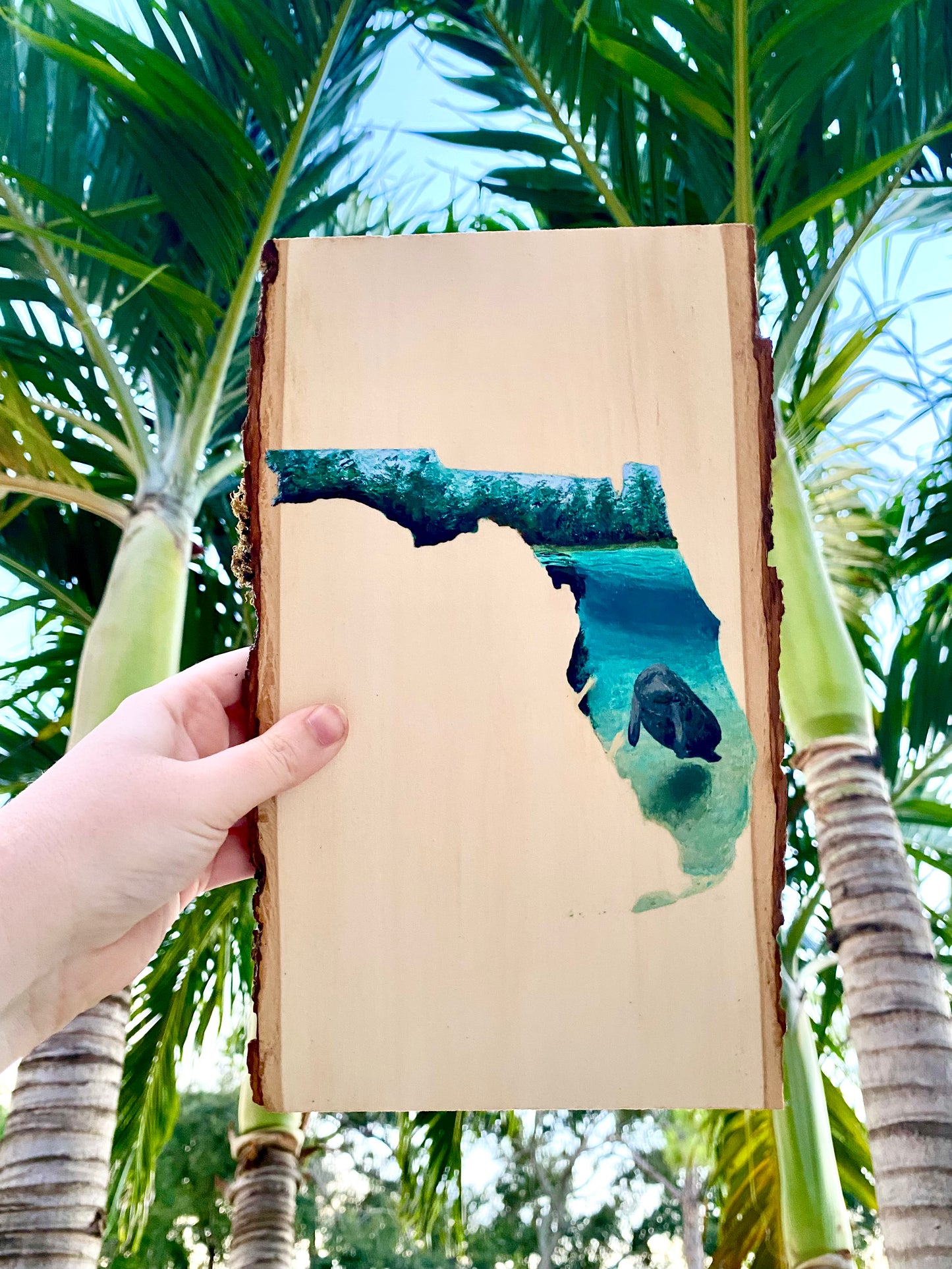 Florida Spring on Wood Flat