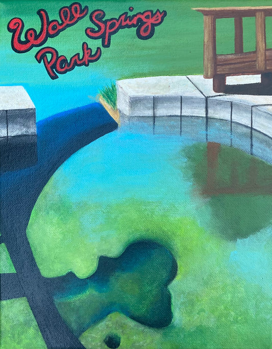 Wall Springs Park - Palm Harbor FL - Original 8x10