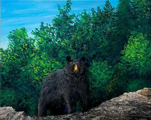 Black Bear Original 16 x 20